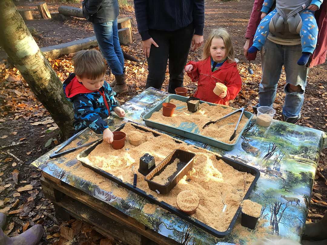 birthday party exeter, forest party, school, devon, woodland, parties, toddler group, wild tots, holiday club