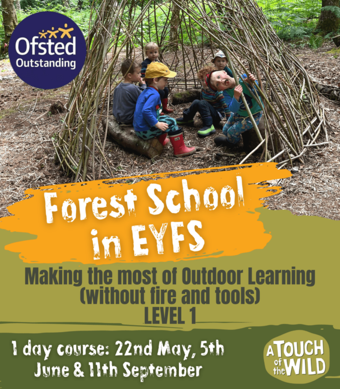 Advert for forest school EYFS