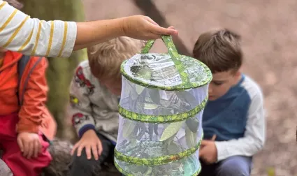 wildlings devon forest school